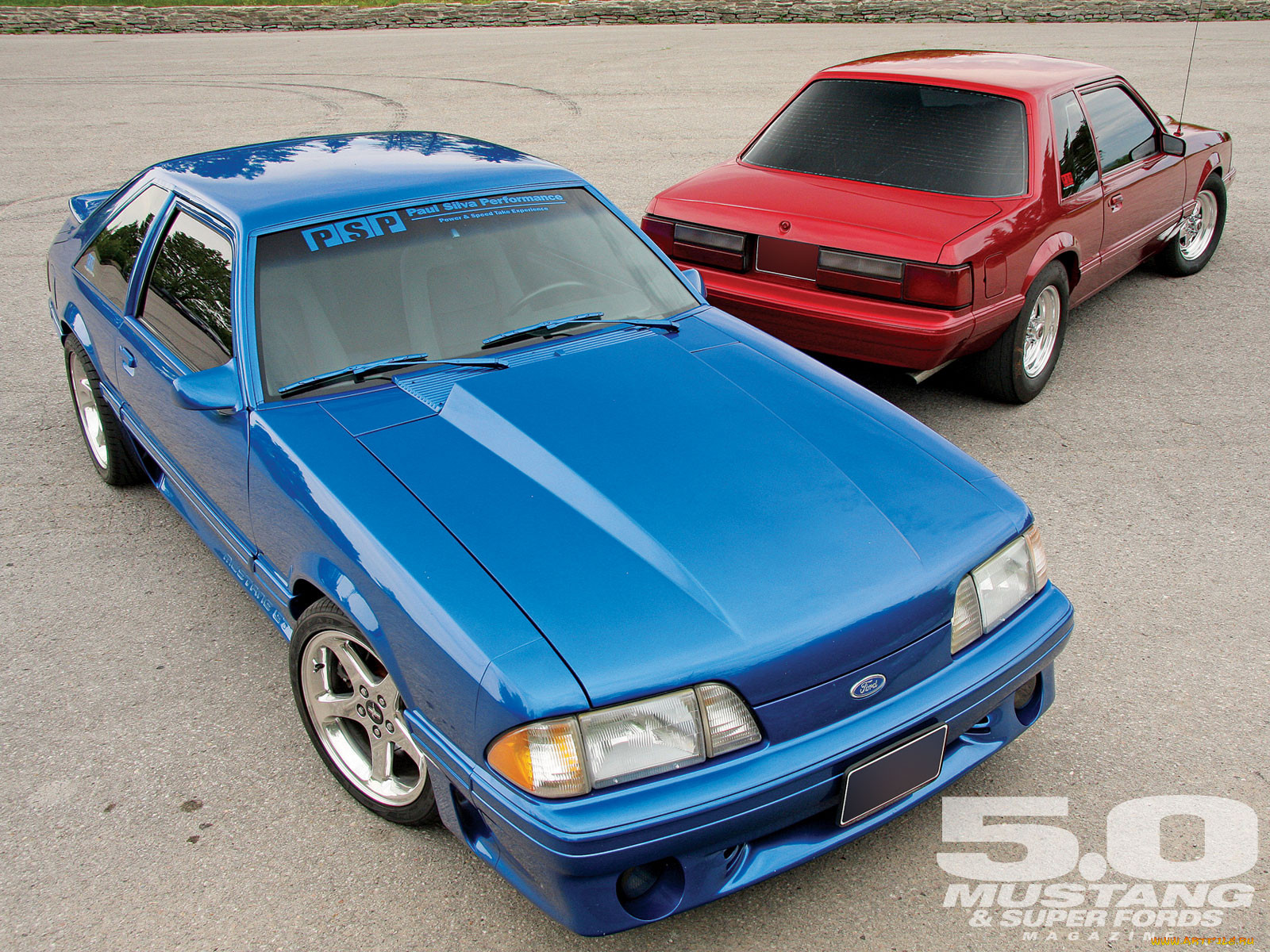 , mustang